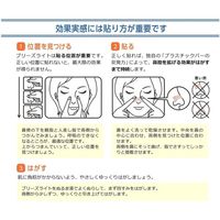 佐藤製薬 ブリーズライト　クール　レギュラー　886850 1箱（10枚入）