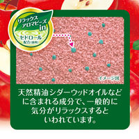 HERSバスラボ ボトル りんごの香り 540g 1セット（1本×3） 湯の色 ピュアレッド(透明湯タイプ) 白元アース