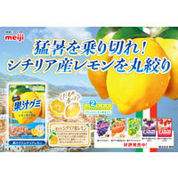 グミ 食べきりサイズ 果汁グミシチリアレモン 1セット（1個×12）