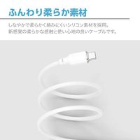 センチュリー PD60W対応TypeーCケーブル1.2m CC-JD60W12WH Type-CtoC Cable 1_2m 1個