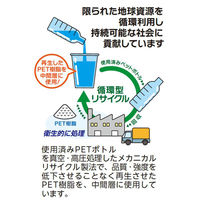 プラコップ VFBサステナブルクリアーカップ マーク付 420ml 50P C92-4250SL 1ケース(20個(1個×20))（直送品）