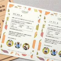 ヒサゴ プリンター用紙 サステナブルクラッポ 野菜(ニンジン) 10枚入 FSCSC09S 1ケース(5個(1個×5))（直送品）