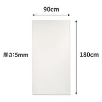 ノーブランド 板ダンボール FB15-0010ASN 片面白 180×90cm 厚み5mm 4573639424067 1セット(10枚入)（直送品）