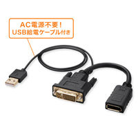 サンワサプライ  DVI-DisplayPort変換アダプタ（4K/30Hz） AD-DVDP01（直送品）