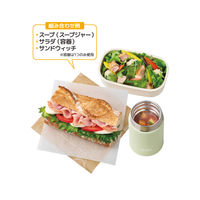 サーモス 真空断熱スープランチセット スープジャー200ｍL 容器300ｍL×2 ダスティグリーン JEH-800 DTG 1個