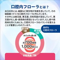歯磨き粉 フッ素 クルクリン PGガード ペパーミント 90g 歯周病 虫歯 口臭 高濃度フッ素配合 薬用ハミガキ サラヤ