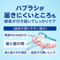 ライオン クリニカPROオールインワンハミガキ フレッシュクリーンミント 95g 408249 1本（わけあり品）