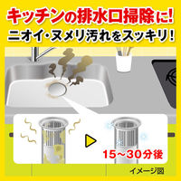 パイプユニッシュ パイプクリーナー 液体タイプ 800g パイプ掃除 お風呂 排水溝 排水口 洗浄 ジョンソン（イチオシ）（わけあり品）