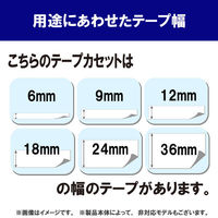ピータッチ テープ スタンダード 幅6mm 白ラベル(黒文字) TZe-211 1個 ブラザー（わけあり品）