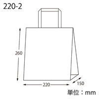 【紙袋】 Nフラットチャームバッグ 平手 220-2 未晒無地 003277430 1袋（50枚入）シモジマ（わけあり品）