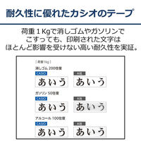 カシオ計算機 カシオネームランドテープ 18ミリ幅 透明に白文字 XR-18AX 1個（わけあり品）