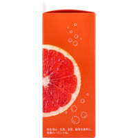 ローゼンバーグメディカル HEALSLAB(ヒルズラボ) コンブチャ グレープフルーツ 5g×15包入 4582758463147 1箱（直送品）