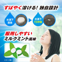 パブロン鼻炎速溶錠EX 36錠 大正製薬 急性鼻炎 くしゃみ 鼻みず 鼻づまり アレルギー性鼻炎【指定第2類医薬品】