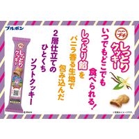 プチ　しっとりクッキー 47g 1セット（1個×10）
