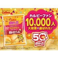 スナック菓子　 ポテトチップス　感謝のほたてしお味　53g 1セット（1個×6）