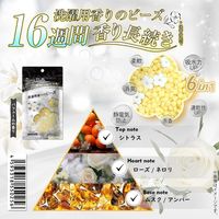 Dure’e Balle デュリボール 洗濯用香りのビーズ パフュームの香り 80mL 1セット（1個×10） 香り付け専用剤 優ラボ