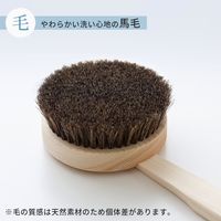 ひのきボディブラシ長柄（馬毛）B662 1本 背中 ボディブラシ マーナ（marna）
