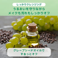 ナイーブ メイク落とし洗フォーム（毛穴クリア）180g 3個 クラシエ