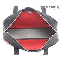 三栄産業 帆布メール用ボストン(M)スリム 赤 錠付き SED-1 1個 63-5755-18（直送品）