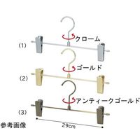 アズワン スチール製ボトムハンガー ゴールド 67-6609-10 1本（直送品）