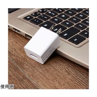 ビットストロング TypeーA・2A出力USB充電アダプター 10個入 BS-JAC2012-S10 1箱(10個) 65-3977-72（直送品）