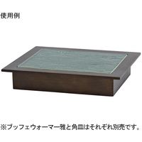 スギコ産業 ブッフェウォーマー雅1/2 67-8155-97 1台（直送品）