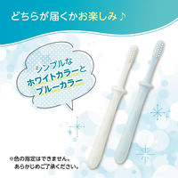 ピジョン 乳歯ブラシ レッスン段階 5 1本