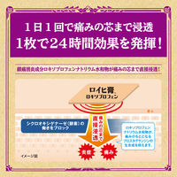 ロイヒ膏 ロキソプロフェン大判 7枚 ニチバン 貼り薬 痛み止め 腰痛 関節痛 筋肉痛 腱鞘炎【第2類医薬品】