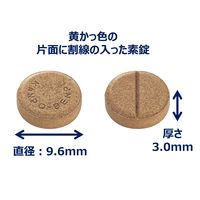 大地の漢方便秘薬 120錠 アリナミン製薬 便秘 漢方便秘薬 大黄甘草湯 腸内異常発酵【第2類医薬品】