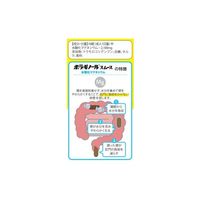 ボラギノールスムース便秘薬 270錠 天藤製薬 水酸化マグネシウム 非刺激性【第3類医薬品】