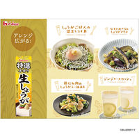 特選本香り生しょうが 40g  1個 ハウス食品