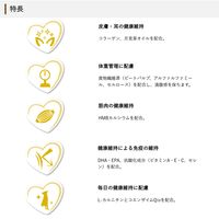 ウェルケア ビーグル専用 アダルト～シニア 中粒タイプ 国産 2.7kg（900g×3袋）1袋 イースター ドッグフード