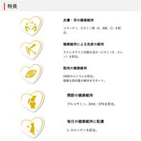 ウェルケア フレンチ・ブルドッグ専用 アダルト～シニア 中粒タイプ 国産 2.7kg（900g×3袋）1袋 イースター ドッグフード