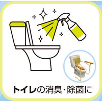 フィーネイーネ 尿便臭オムツの消臭スプレー 300mL 1本 フィーネ薬品