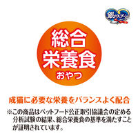 銀のスプーン おいしい顔が見られるおやつ 総合栄養食 カリカリッチ シーフード 国産 60g 3袋 ユニ・チャーム キャットフード 猫用 おやつ