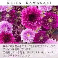 フラットポーチ GF1316　V KEITA KAWASAKI GF1316_00V 1枚 川島織物セルコン（直送品）