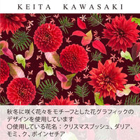 フラットポーチ GF1315　R KEITA KAWASAKI GF1315_00R 1枚 川島織物セルコン（直送品）