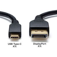 サンワサプライ TypeC-DisplayPort変換ケーブル (双方向) 3m KC-ALCDPR30 1本
