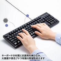 サンワサプライ 日本語109キーボード　抗菌防水防塵タイプ SKB-BS6BK 1個