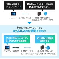 サンワサプライ USB3.2-LAN変換アダプタ(2.5Gbps対応) USB-CVLAN5BK 1個（直送品）