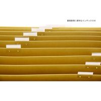 ライオン事務器 ドキュメントファイル A4 DC-231 15602 1冊