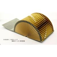 ライオン事務器 ドキュメントファイル A4 DC-431N 15605 1冊