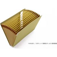 ライオン事務器 ドキュメントファイル A4 DC-211 15601 1冊