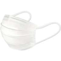 白元アース 快適ガードマスク 小さめサイズ 1箱（60枚入）