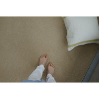 スミノエ コンシェルジュ エコロア100 防炎 ラグ ECR104 3500×4000mm ライトベージュ 1枚（直送品）