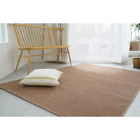 スミノエ コンシェルジュ エコロア100 防炎 ラグ ECR105 3000×3000mm ブラウン 1枚（直送品）