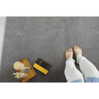 スミノエ コンシェルジュ エコロア100 防炎 ラグ ECR106 2000×2500mm ダークグレー 1枚（直送品）