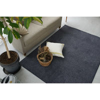 スミノエ コンシェルジュ エコロア100 防炎 ラグ ECR111 3500×4500mm ブルー 1枚（直送品）