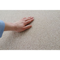 スミノエ コンシェルジュ ウールスコット プレーン 防炎 ラグ WS104 1400×2000mm ベージュ 1枚（直送品）