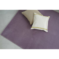 スミノエ コンシェルジュ WOOL REX 防炎 ラグ ウールレックス WR28 1400×2000mm パープル 1枚（直送品）